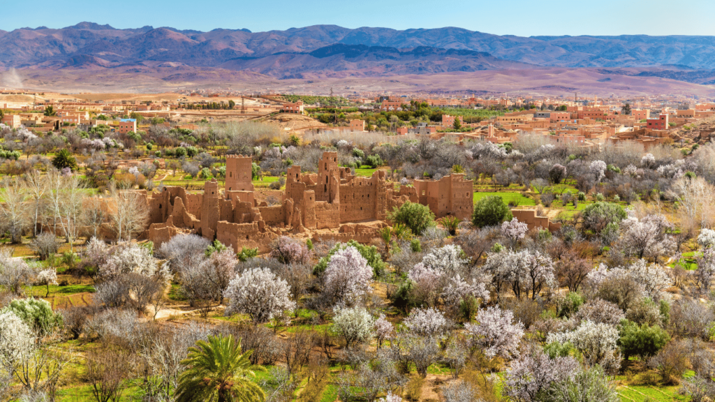 M'Gouna in Morocco's Valley of Roses