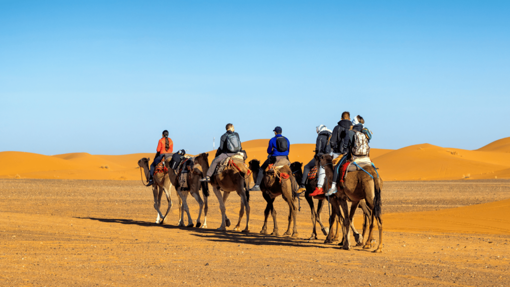 Zagora Dunes Enjoyment