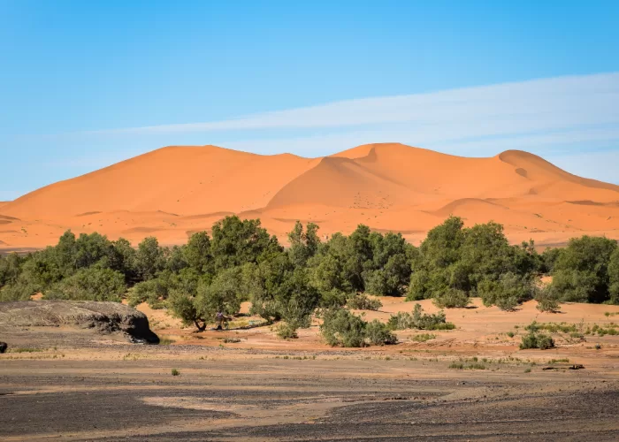 Viaggio di 3 giorni da Ouarzazate a Merzouga