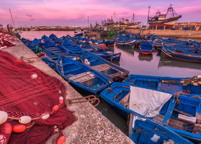 GITA DI 1 GIORNO A ESSAOUIRA