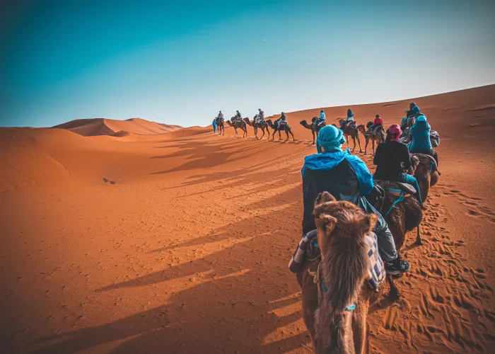 CAMEL RIDE 1 NIGHT IN DESERT CAMP IN MERZOUGA